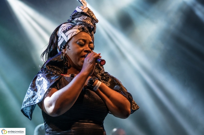 Rumbanamá - Vidor Fesztivál - fotó Kohut Árpád