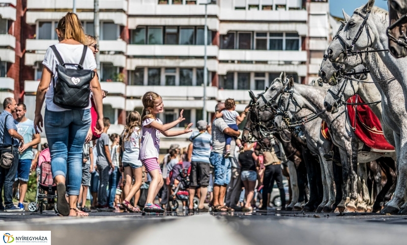 Jubileumi Huszártalálkozó Nyíregyházán - fotó Kohut Árpád