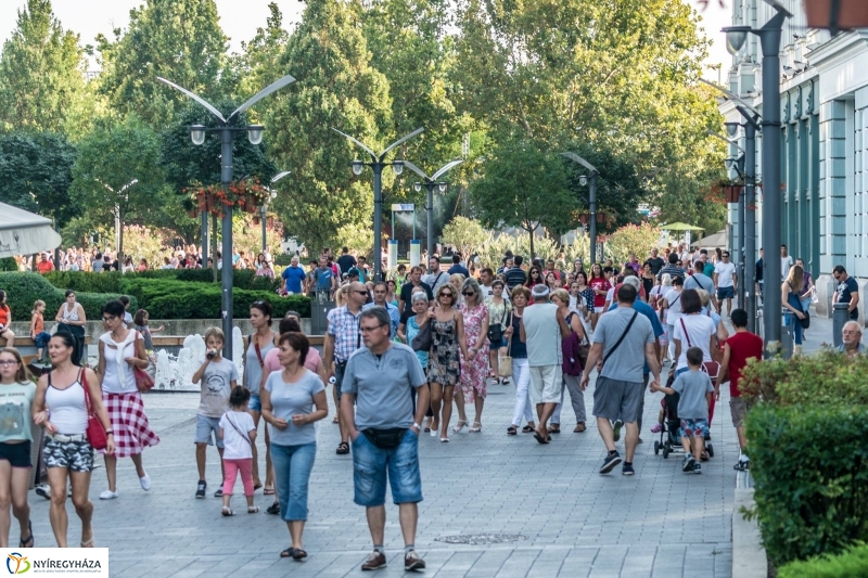 VIDOR pillanatok - fotó Kohut Árpád