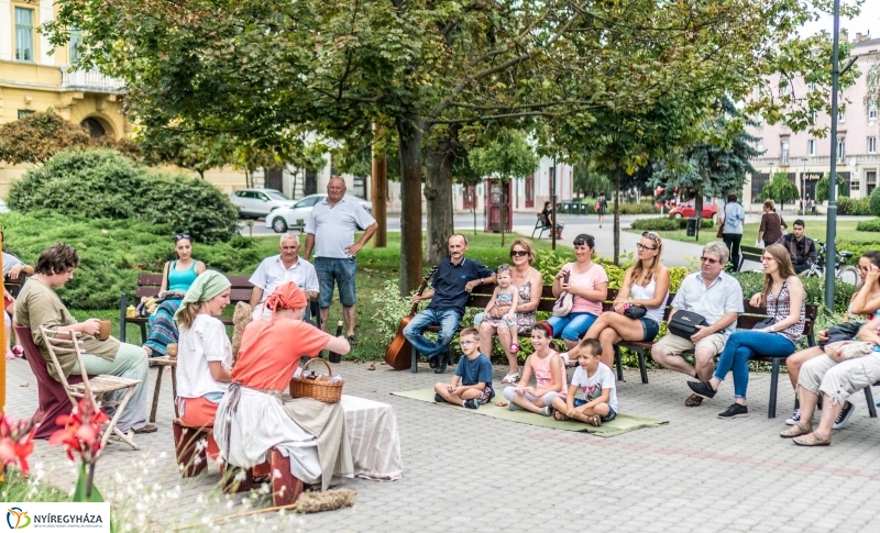 A paradicsomjáró deák - fotó Kohut Árpád