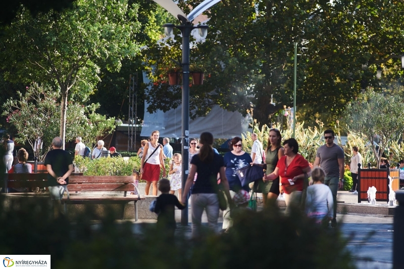 VIDOR 2017 hétfői pillanatok - fotó Szarka Lajos