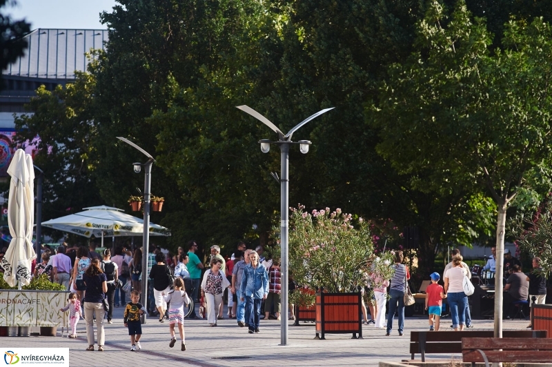 VIDOR 2017 hétfői pillanatok - fotó Szarka Lajos