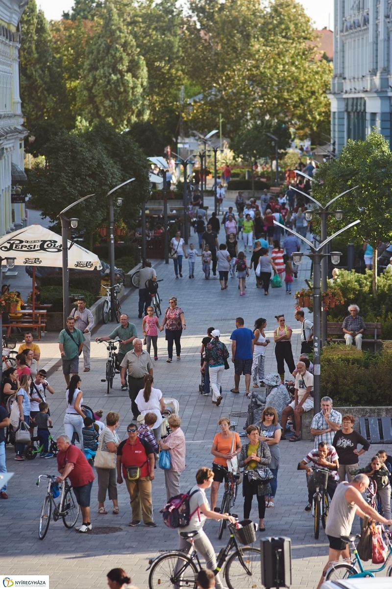 VIDOR 2017 hétfői pillanatok - fotó Szarka Lajos