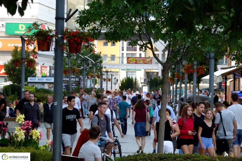 VIDOR 2017 The Qualitons - fotó Szarka Lajos