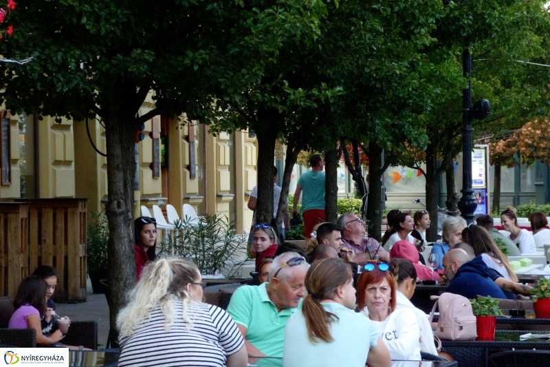 VIDOR 2017 The Qualitons - fotó Szarka Lajos