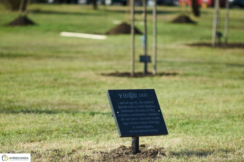 Emlékezés a VIDOR Ligetben - fotó Szarka Lajos