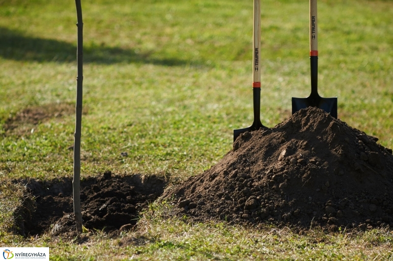 Emlékezés a VIDOR Ligetben - fotó Szarka Lajos