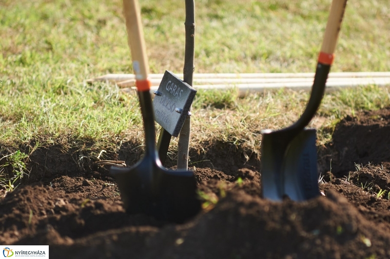 Emlékezés a VIDOR Ligetben - fotó Szarka Lajos
