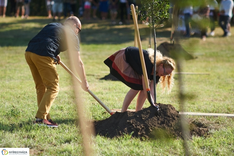 Emlékezés a VIDOR Ligetben - fotó Szarka Lajos