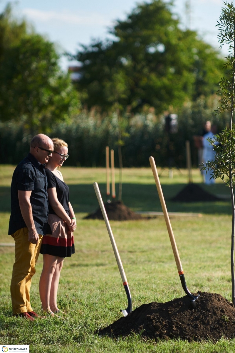 Emlékezés a VIDOR Ligetben - fotó Szarka Lajos