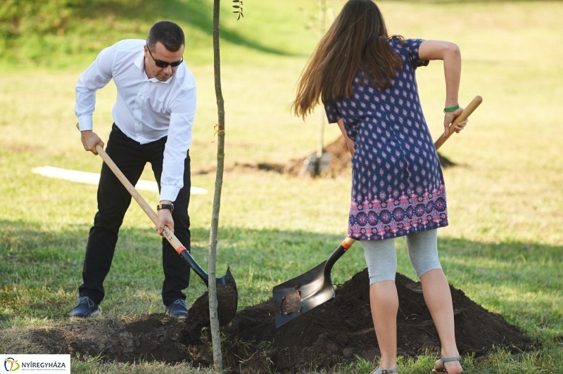 Emlékezés a VIDOR Ligetben - fotó Szarka Lajos