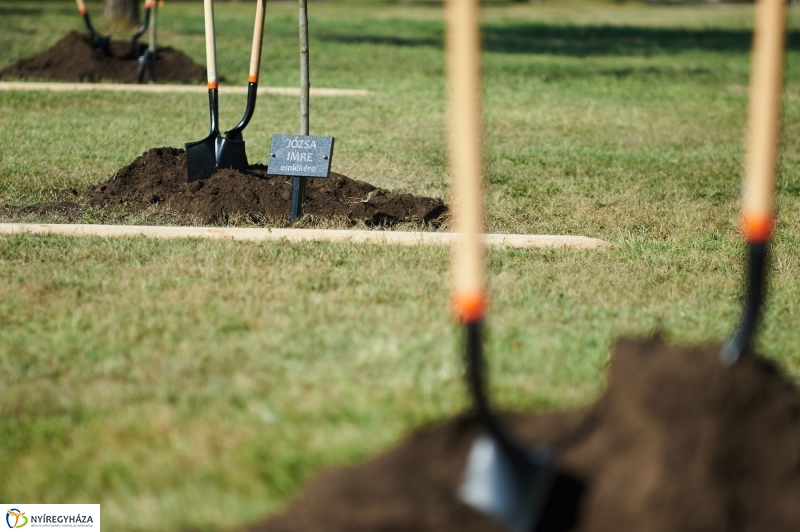 Emlékezés a VIDOR Ligetben - fotó Szarka Lajos
