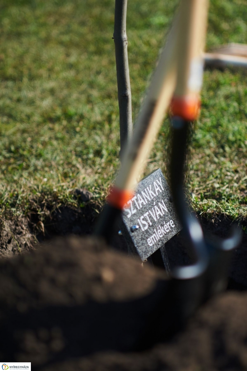 Emlékezés a VIDOR Ligetben - fotó Szarka Lajos