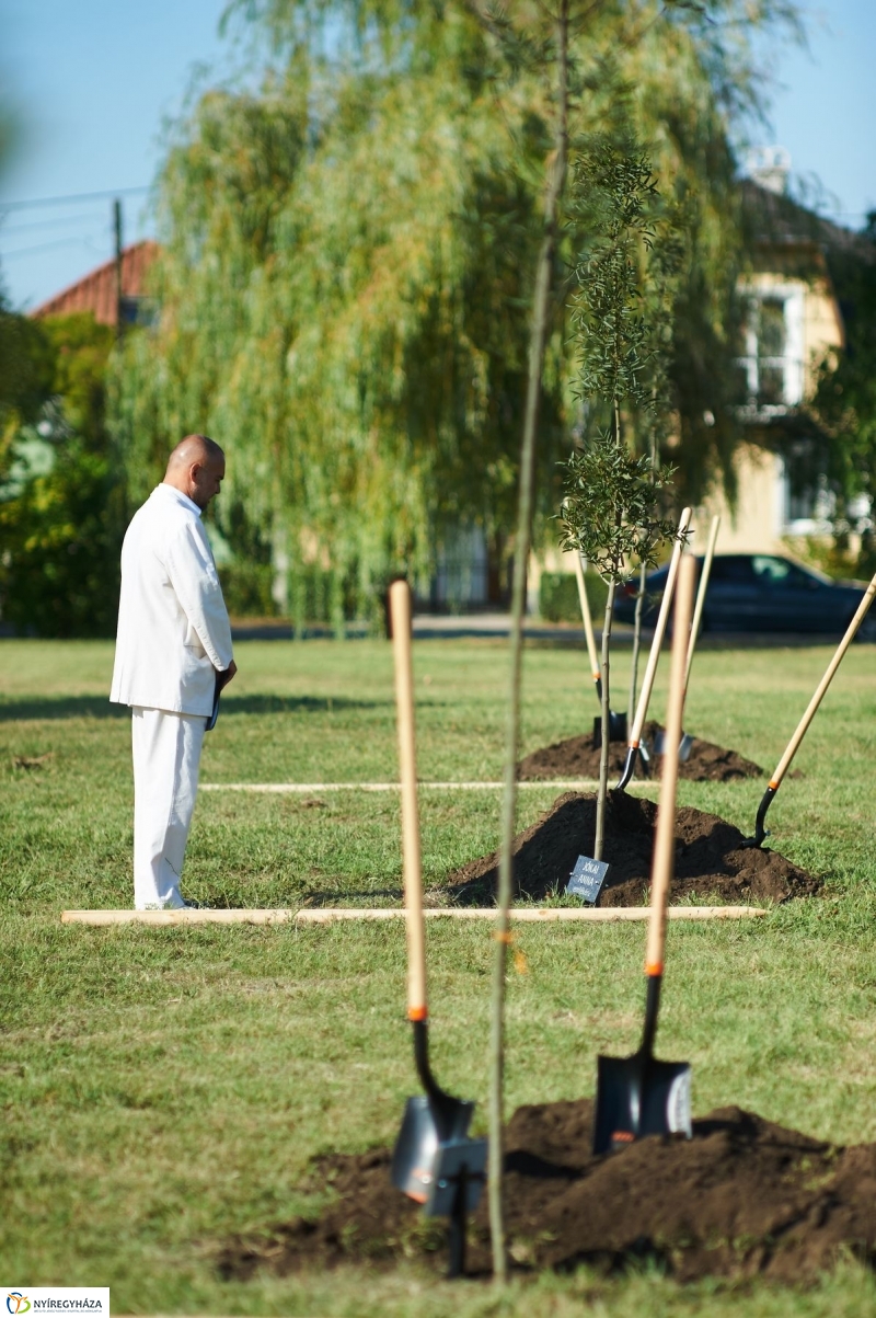 Emlékezés a VIDOR Ligetben - fotó Szarka Lajos