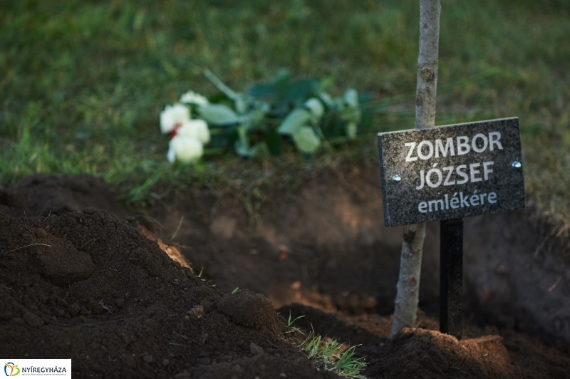 Emlékezés a VIDOR Ligetben - fotó Szarka Lajos