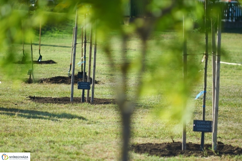 Emlékezés a VIDOR Ligetben - fotó Szarka Lajos