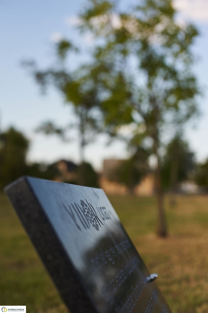 Emlékezés a VIDOR Ligetben - fotó Szarka Lajos