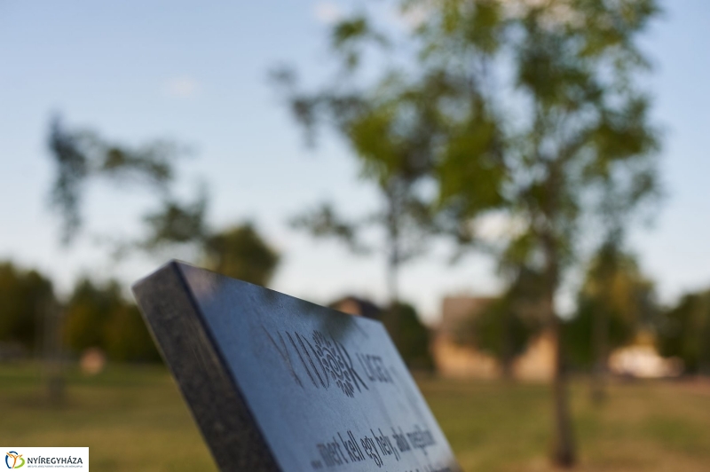 Emlékezés a VIDOR Ligetben - fotó Szarka Lajos