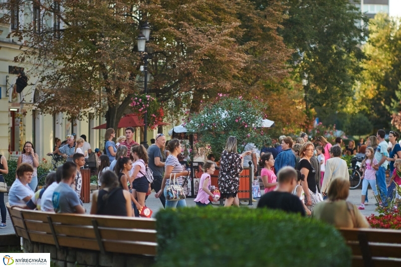 VIDOR 2017 keddi pillanatok - fotó Szarka Lajos