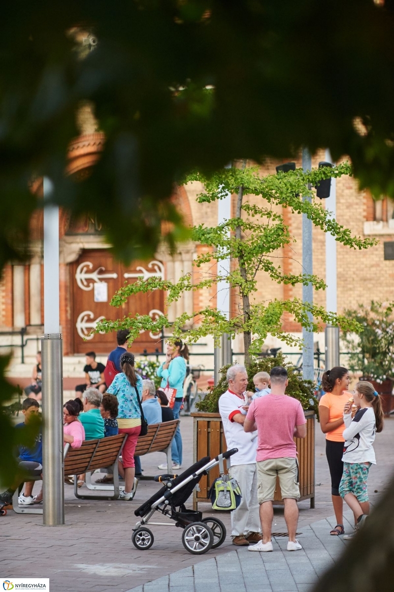 VIDOR 2017 Petruska András - fotó Szarka Lajos