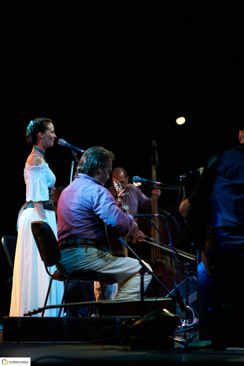 VIDOR 2017 Herczku Ági és a banda - fotó Szarka Lajos