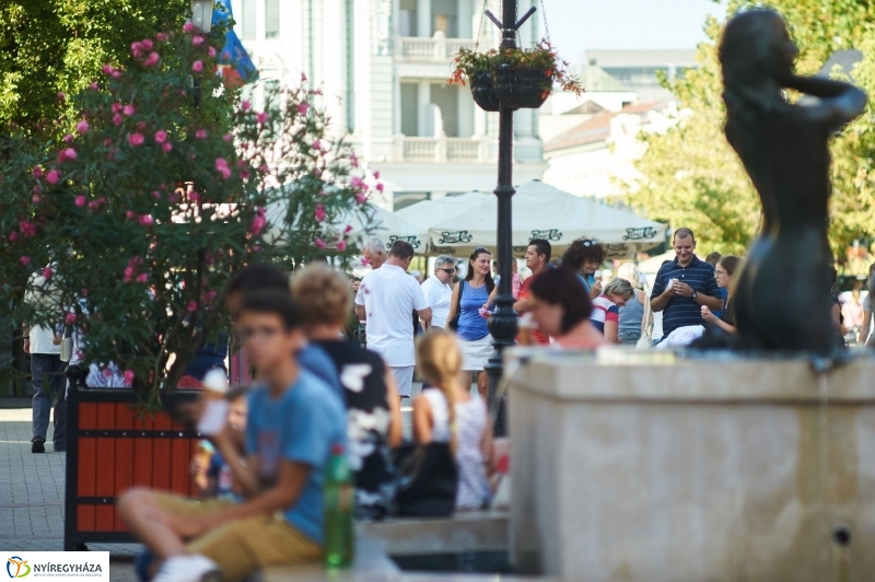 VIDOR 2017 szerdai pillanatok - fotó Szarka Lajos