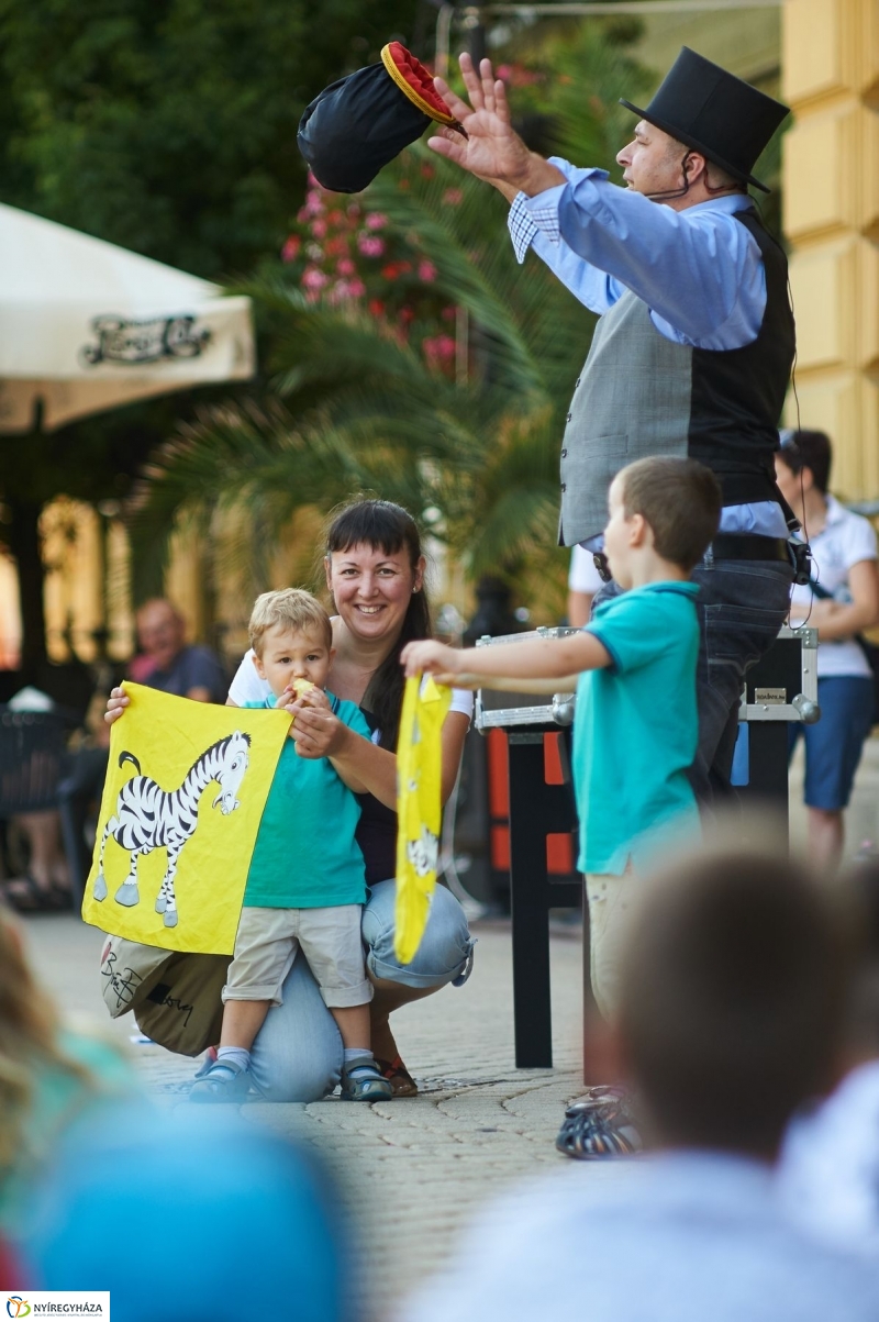 VIDOR 2017 szerdai pillanatok - fotó Szarka Lajos