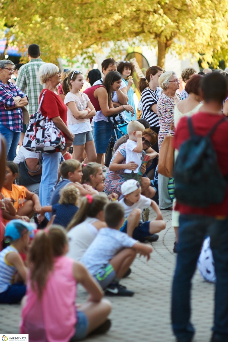 VIDOR 2017 szerdai pillanatok - fotó Szarka Lajos
