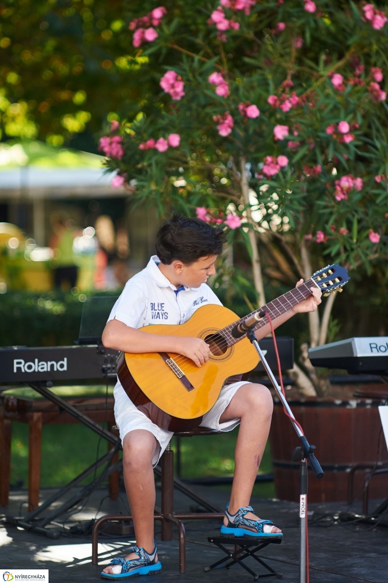 VIDOR 2017 szerdai pillanatok - fotó Szarka Lajos