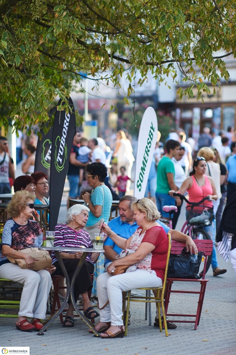 VIDOR 2017 szerdai pillanatok - fotó Szarka Lajos