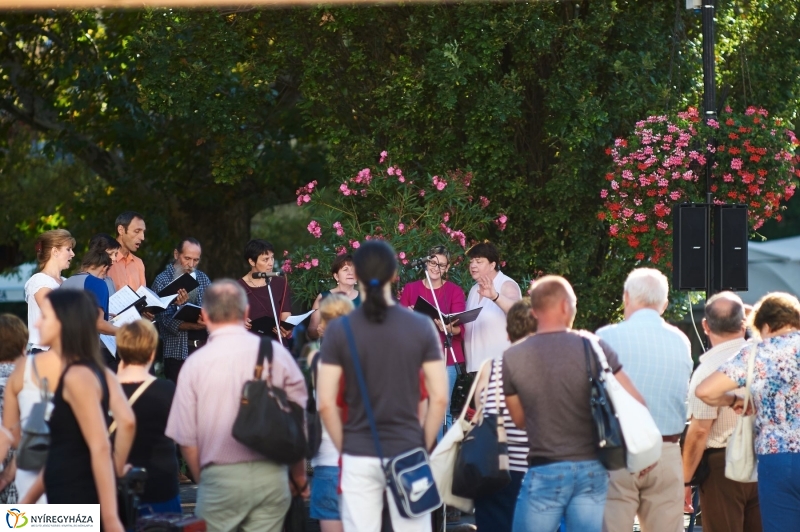 VIDOR 2017 szerdai pillanatok - fotó Szarka Lajos