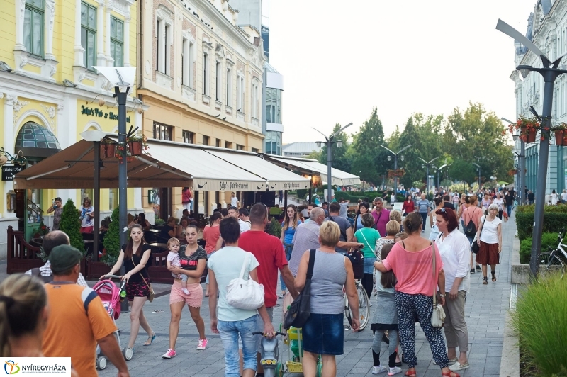 VIDOR 2017 Szeder - fotó Szarka Lajos