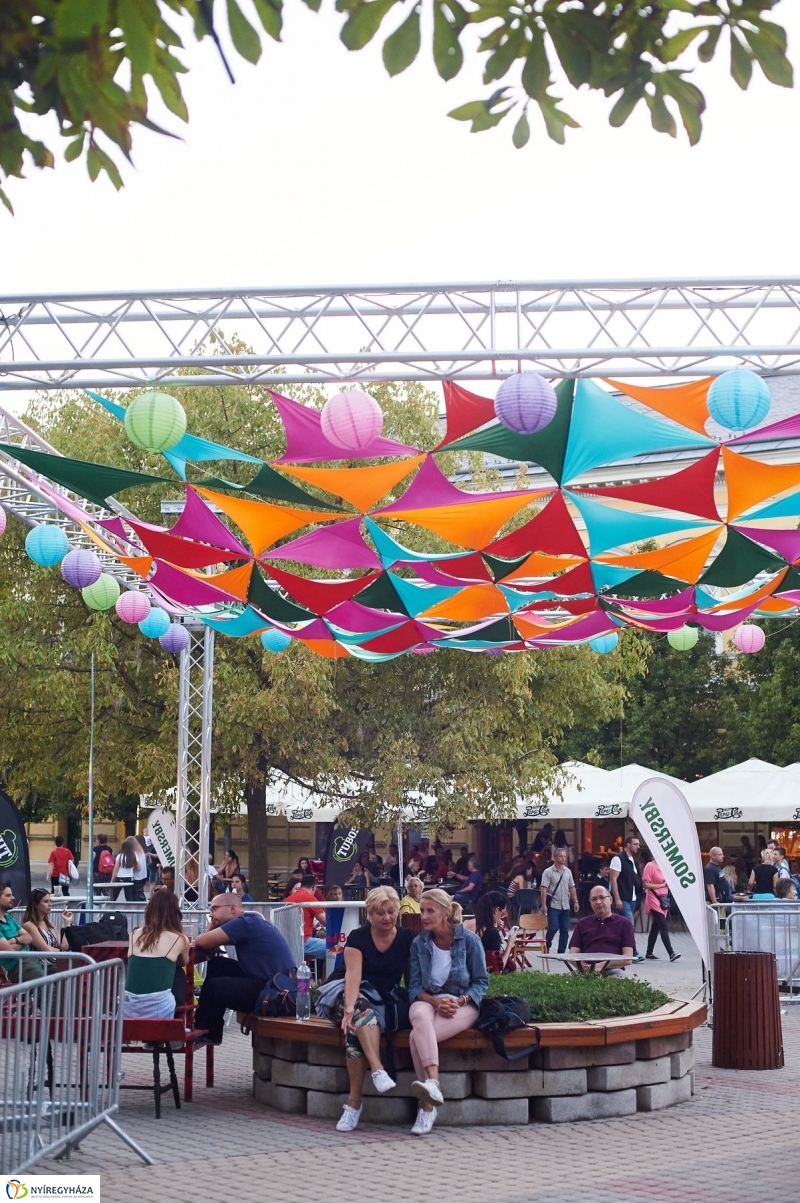 VIDOR 2017 Szeder - fotó Szarka Lajos