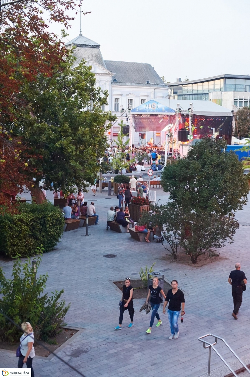 VIDOR 2017 Szeder - fotó Szarka Lajos