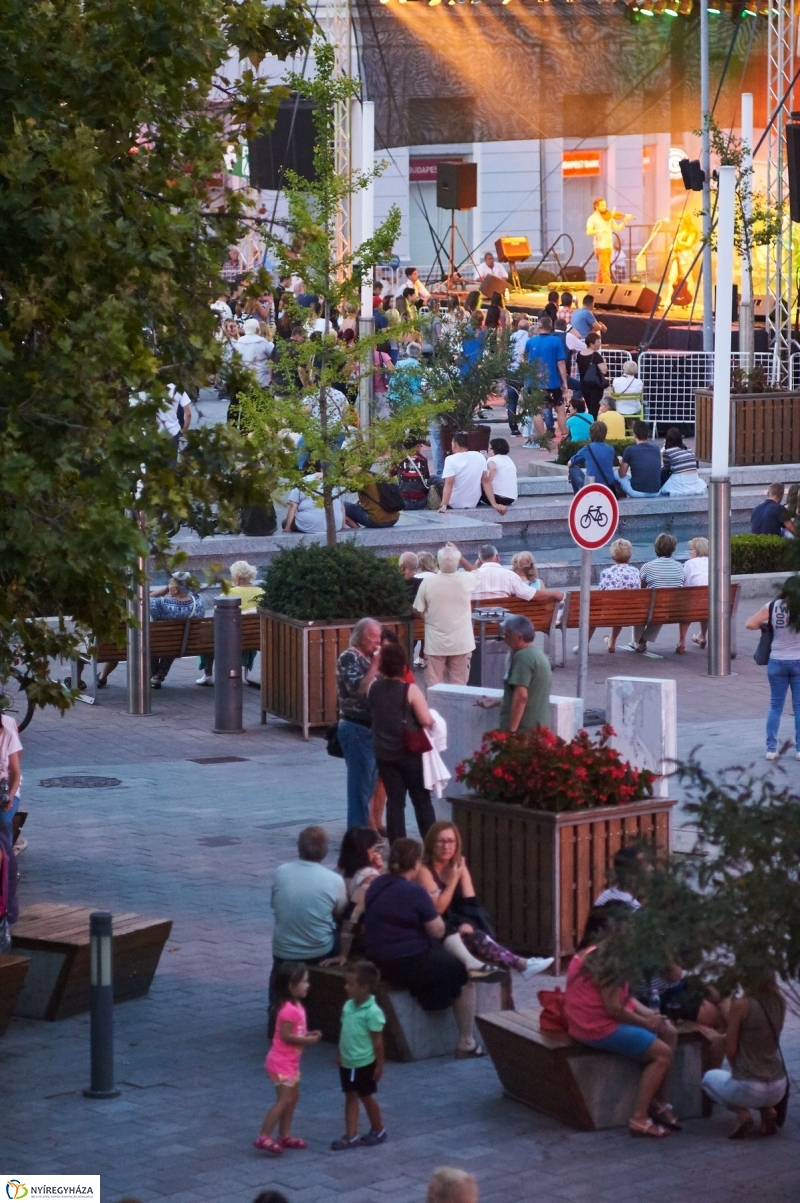 VIDOR 2017 Szeder - fotó Szarka Lajos