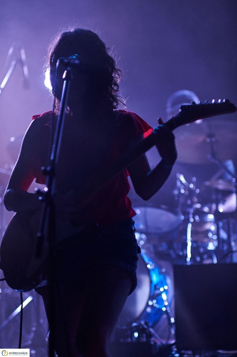 VIDOR 2017 Szeder - fotó Szarka Lajos