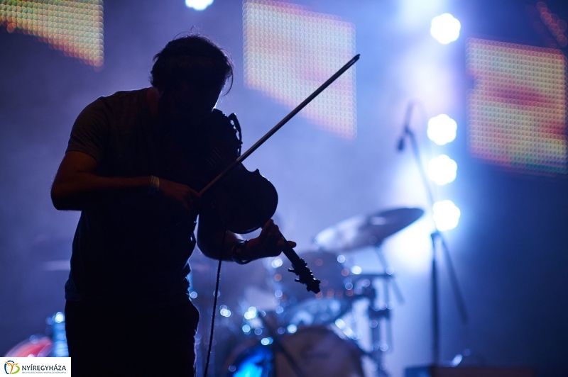 VIDOR 2017 Szeder - fotó Szarka Lajos