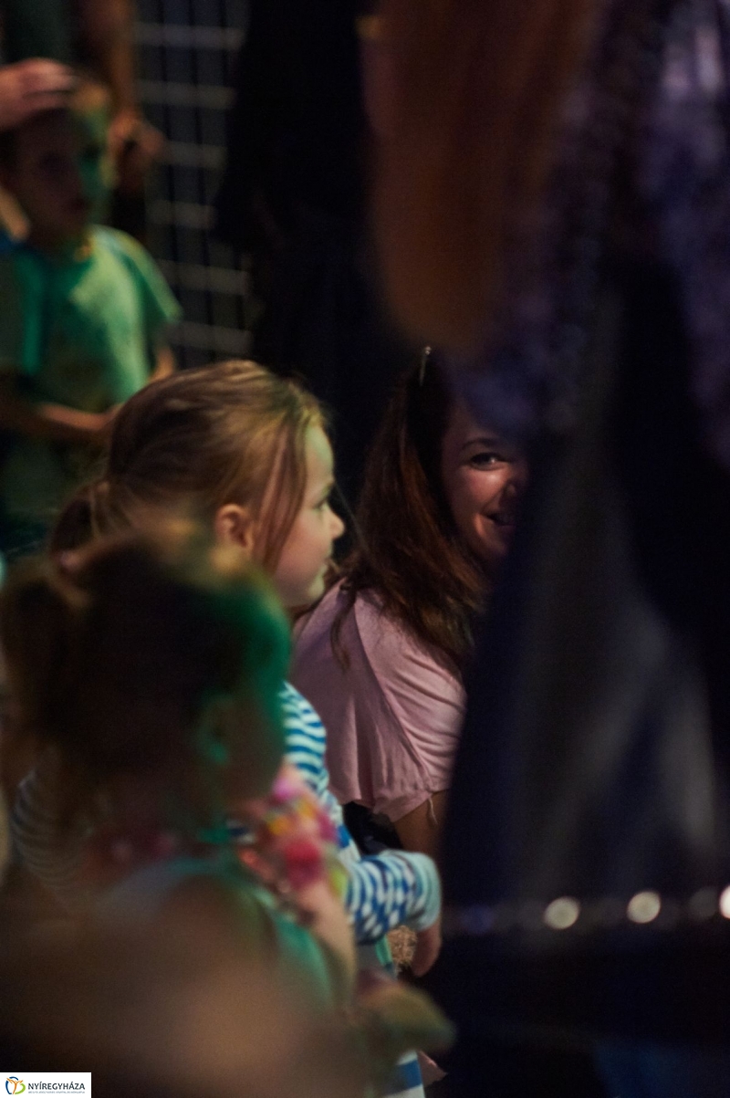 VIDOR 2017 Szeder - fotó Szarka Lajos