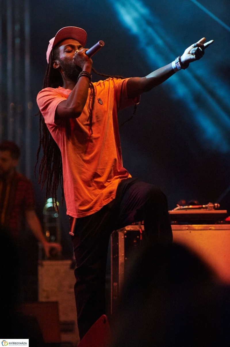 VIDOR 2017 Irie Maffia - fotó Szarka Lajos