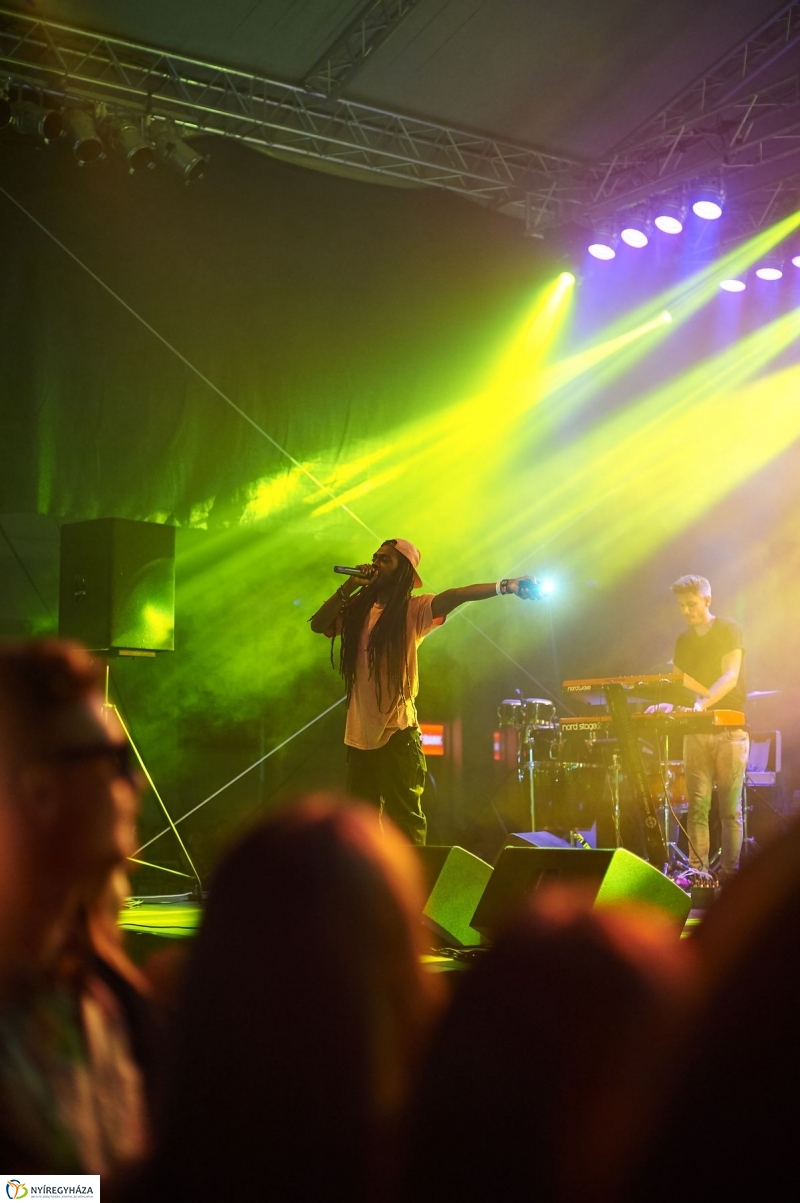 VIDOR 2017 Irie Maffia - fotó Szarka Lajos