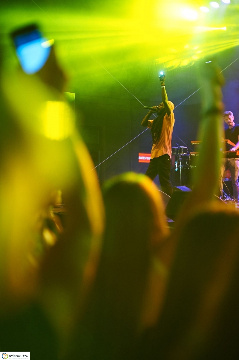 VIDOR 2017 Irie Maffia - fotó Szarka Lajos