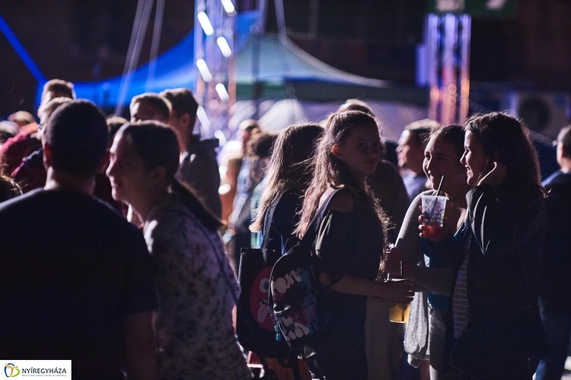 VIDOR 2017 Electric Swing Circus - fotó Szarka Lajos