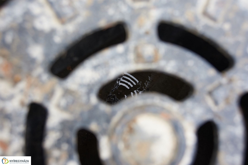 Helyszíni bejárás az Alma utcán - fotó Szarka Lajos