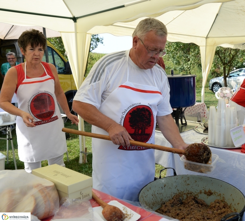 A Régi Magyarország Ízei-gasztronómiai fesztivál Sóstón