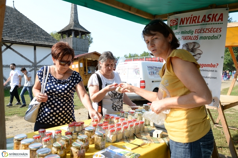 A Régi Magyarország Ízei-gasztronómiai fesztivál Sóstón