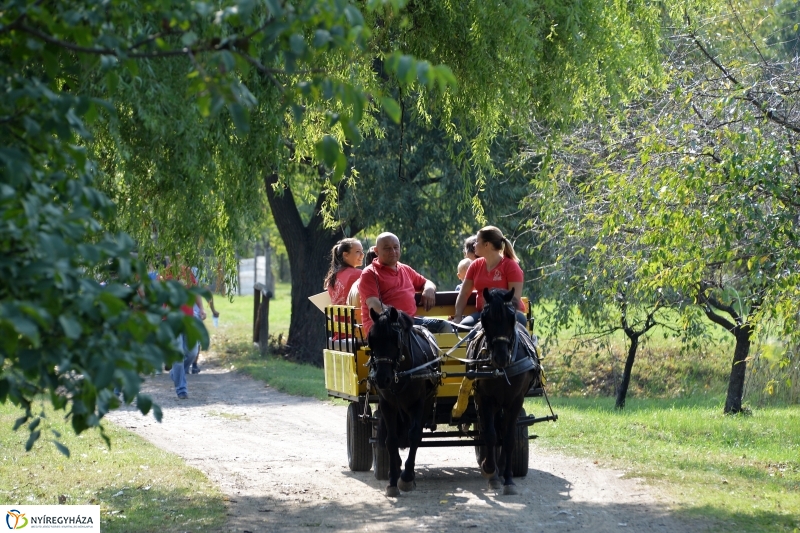 A Régi Magyarország Ízei-gasztronómiai fesztivál Sóstón