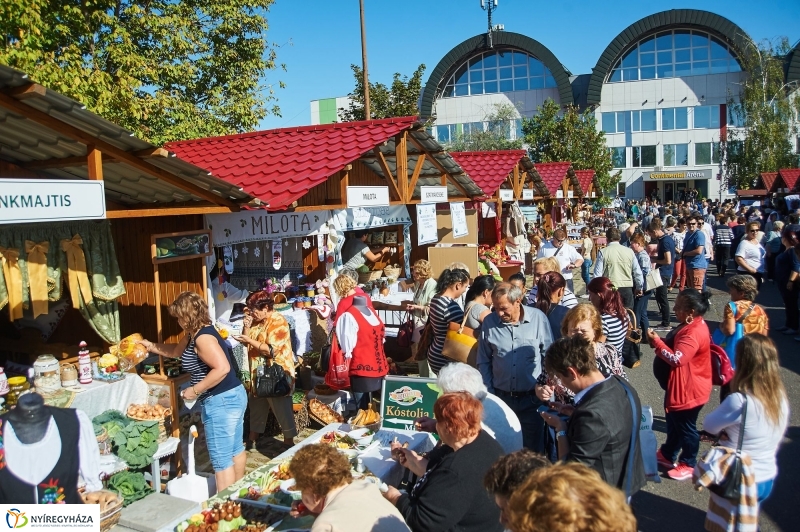Közfoglalkoztatási Kiállítás 2017 - fotó Szarka Lajos