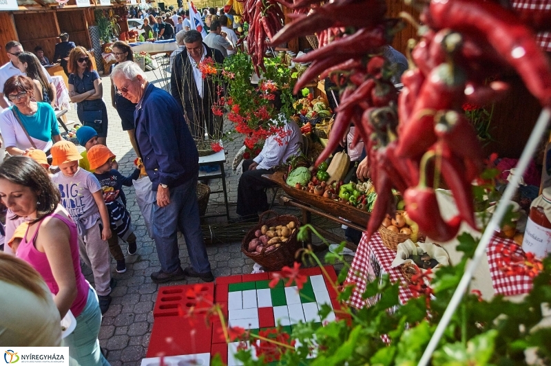 Közfoglalkoztatási Kiállítás 2017 - fotó Szarka Lajos