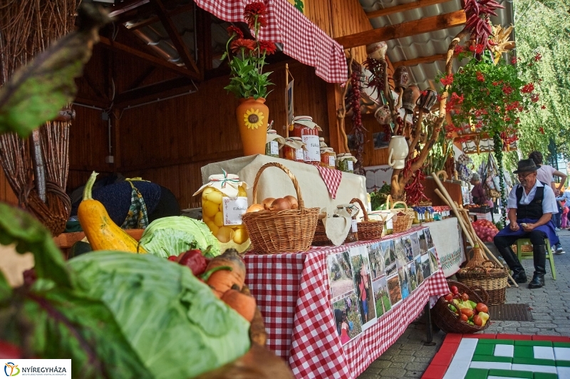 Közfoglalkoztatási Kiállítás 2017 - fotó Szarka Lajos