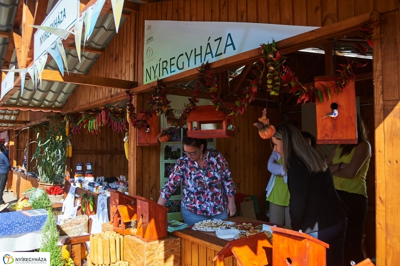 Közfoglalkoztatási Kiállítás 2017 - fotó Szarka Lajos